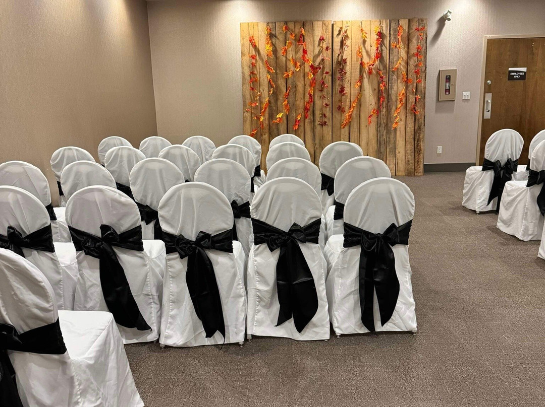 Canalta Jurassic - Drumheller主图