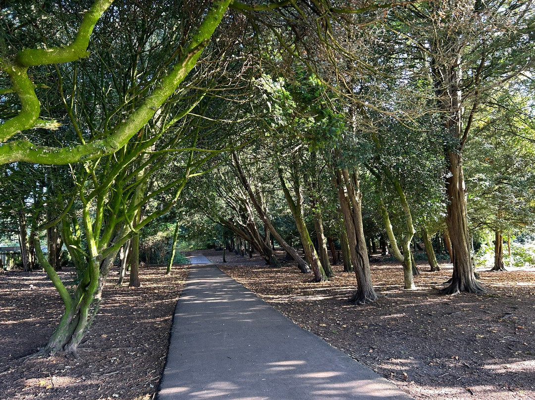 Boultham Park景点图片