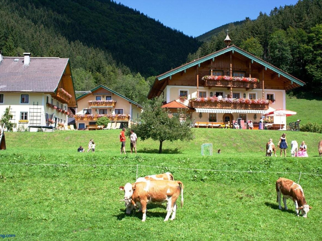 Am Ferienbauernhof Schmiedbauer Com Salzkammergut