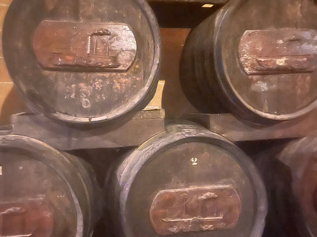 Bodegas Suau景点图片