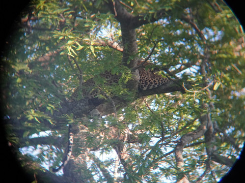 Nissanka Yala Safari-蒂瑟默哈拉默必去景点