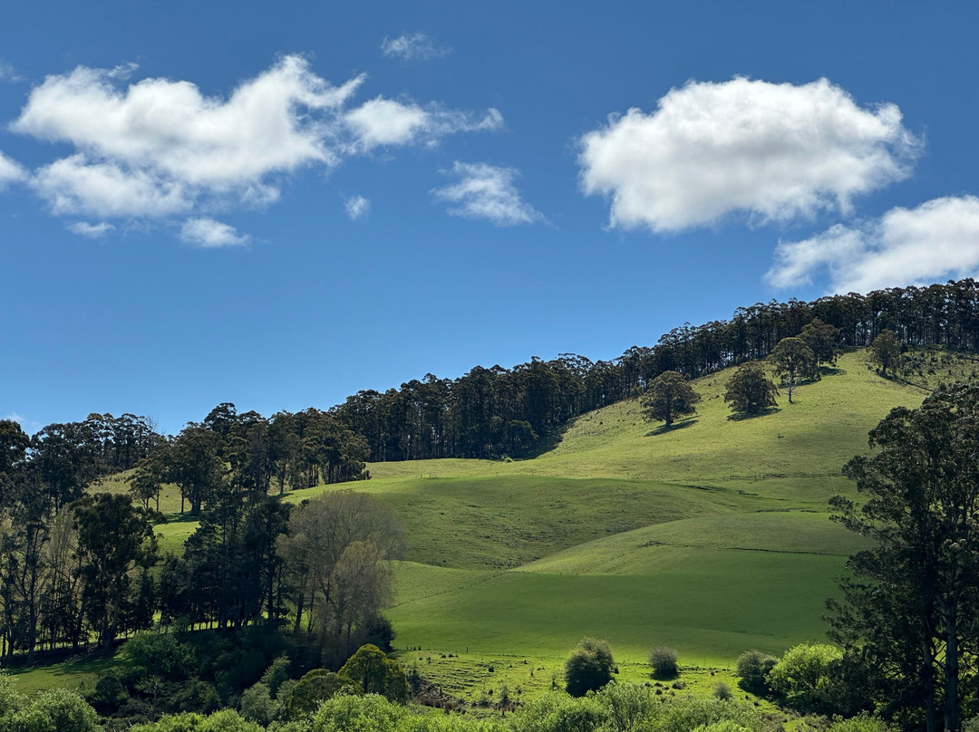 Ashdowns of Dover Boutique B&B主图