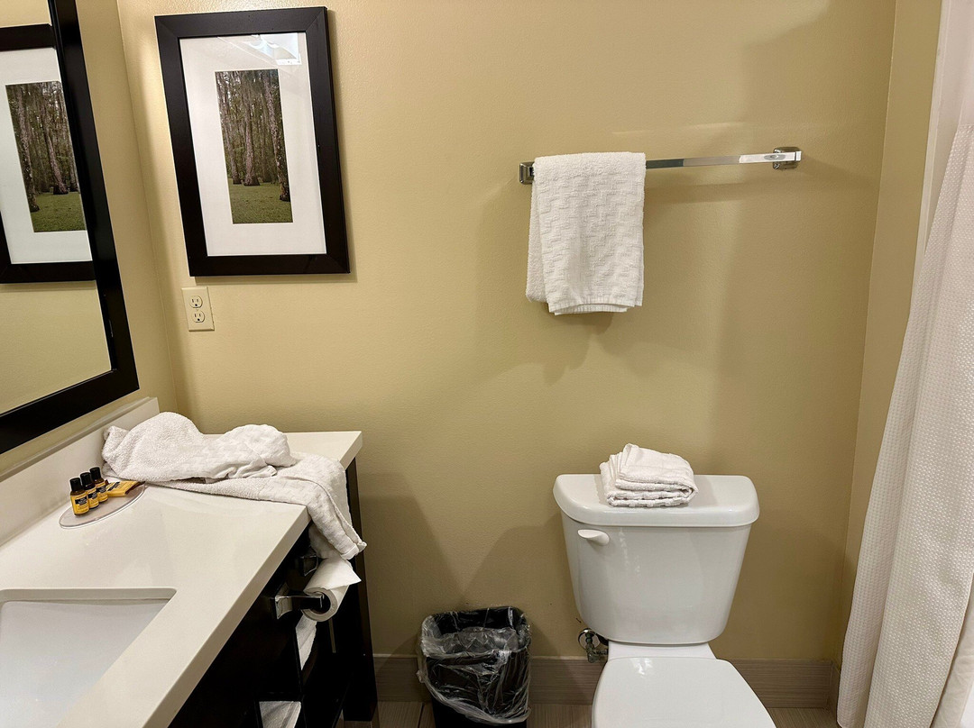 Best Western Plus New Orleans Airport Hotel主图