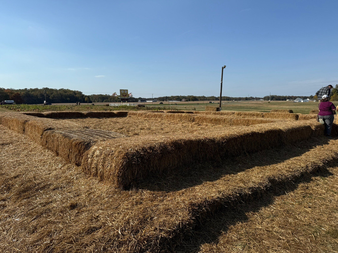 Bowles Farm Corn Maze-Clements必去景点