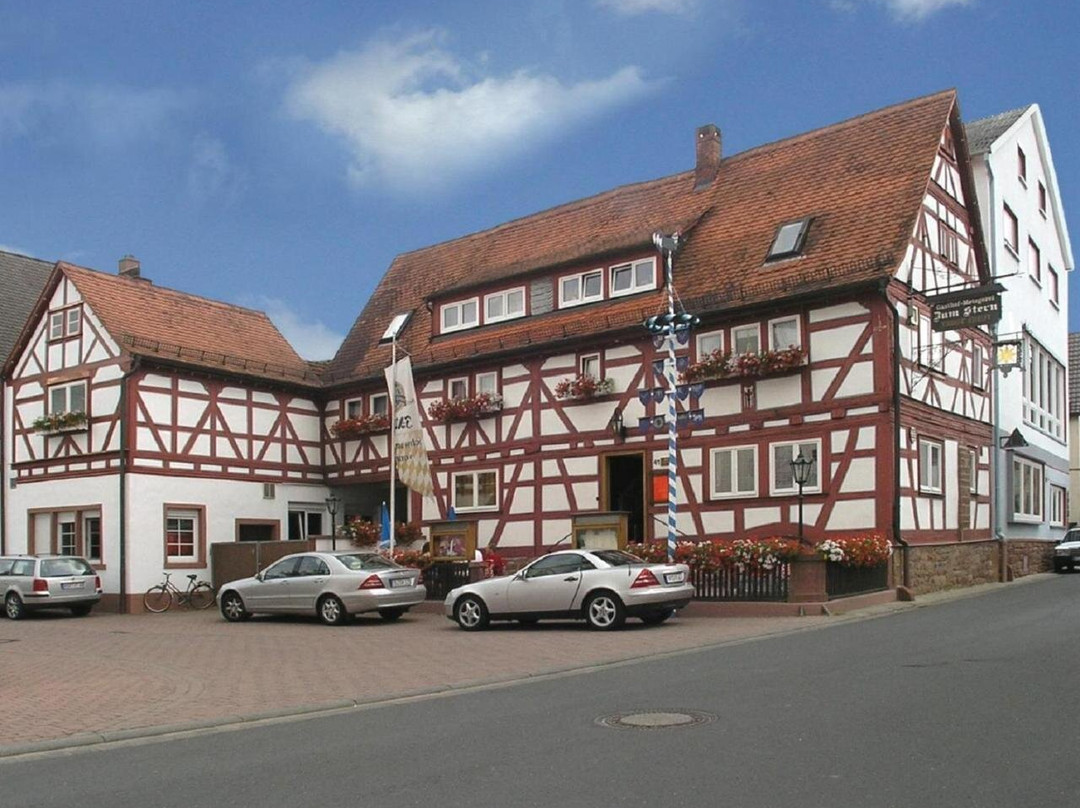 Vielbrunn酒店住宿-Gasthof Landhotel Metzgerei Zum Stern