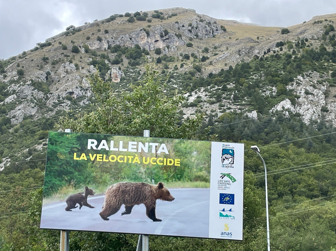 Parco Nazionale d'Abruzzo, Lazio e Molise景点图片