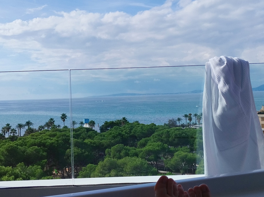 Iberostar Selection Llaut Palma主图