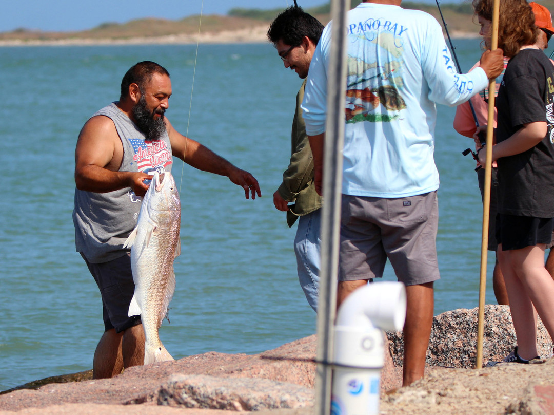 Roberts Point Park-阿兰瑟斯港必去景点