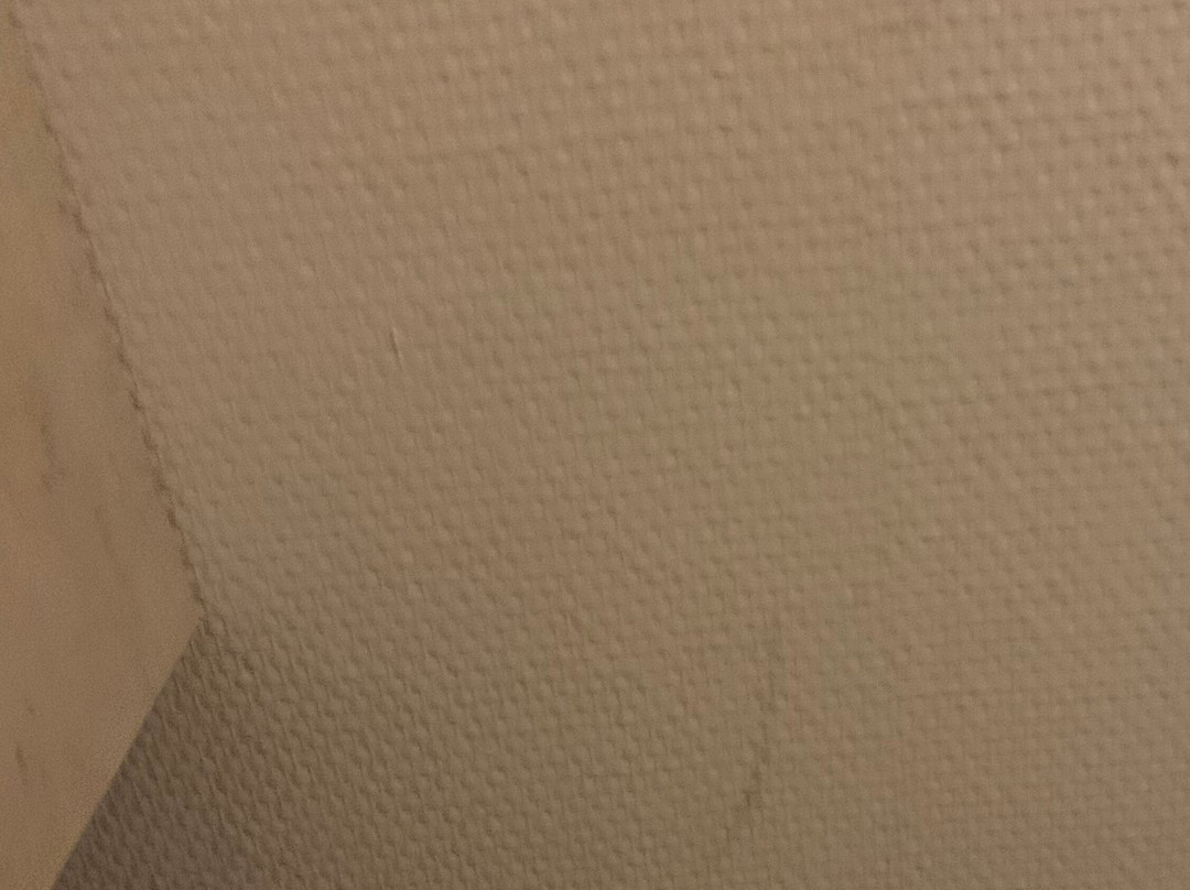 公园由雷迪森酒店美因茨主图