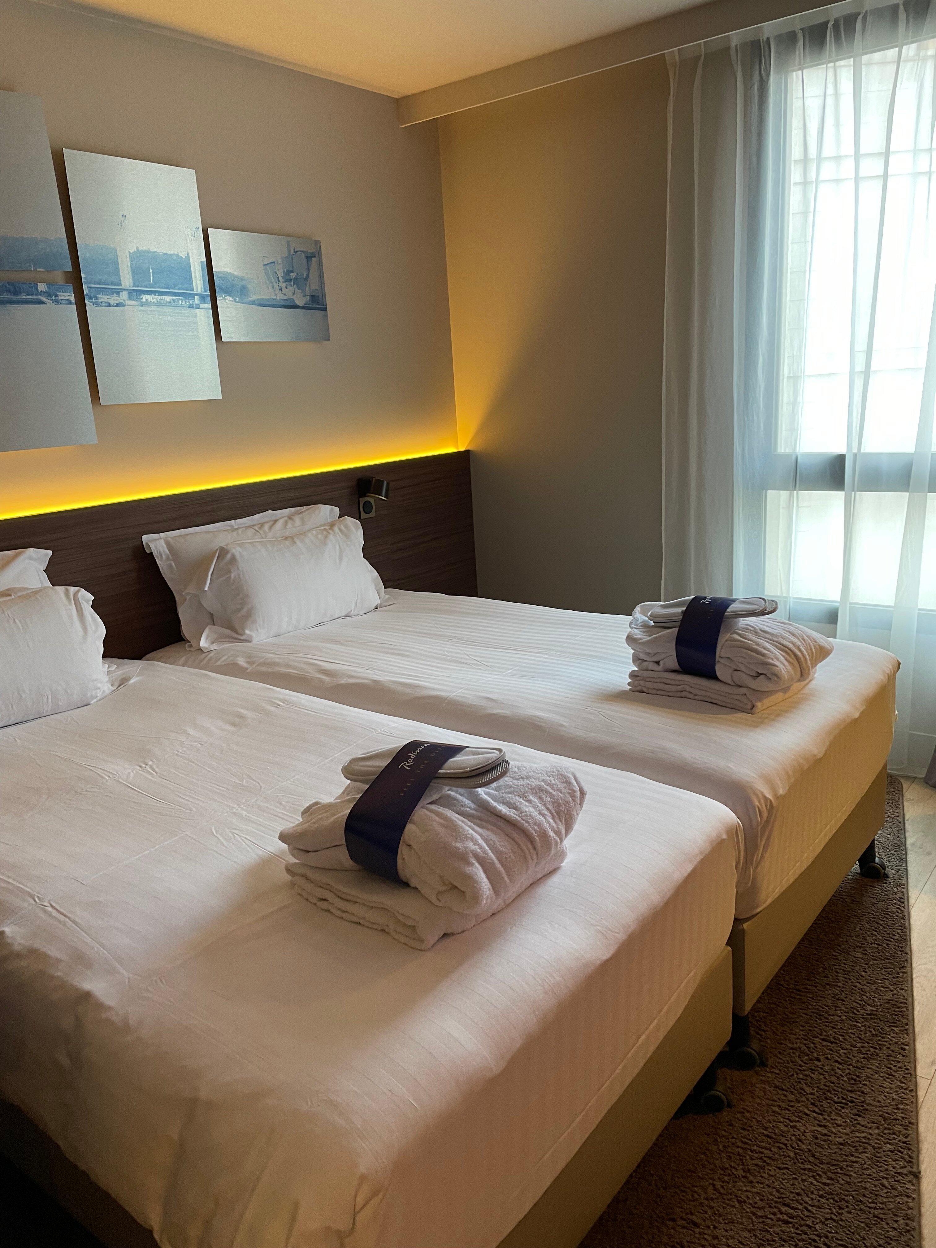 Radisson Blu Hotel, Rouen Centre-客卧