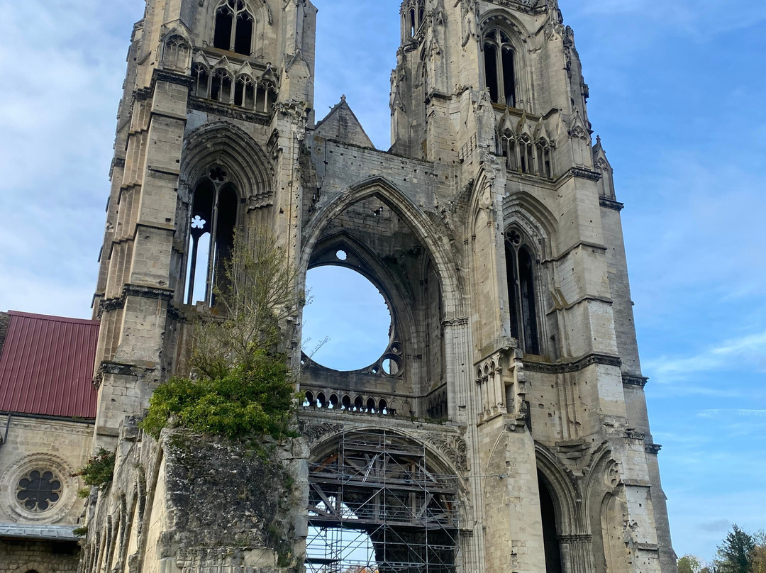 Abbaye Saint-Jean-des-Vignes景点图片