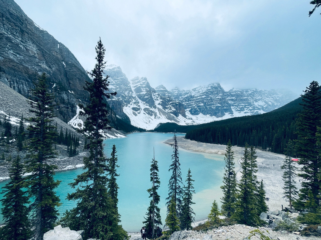 Moraine Lake Rockpile Trail景点图片