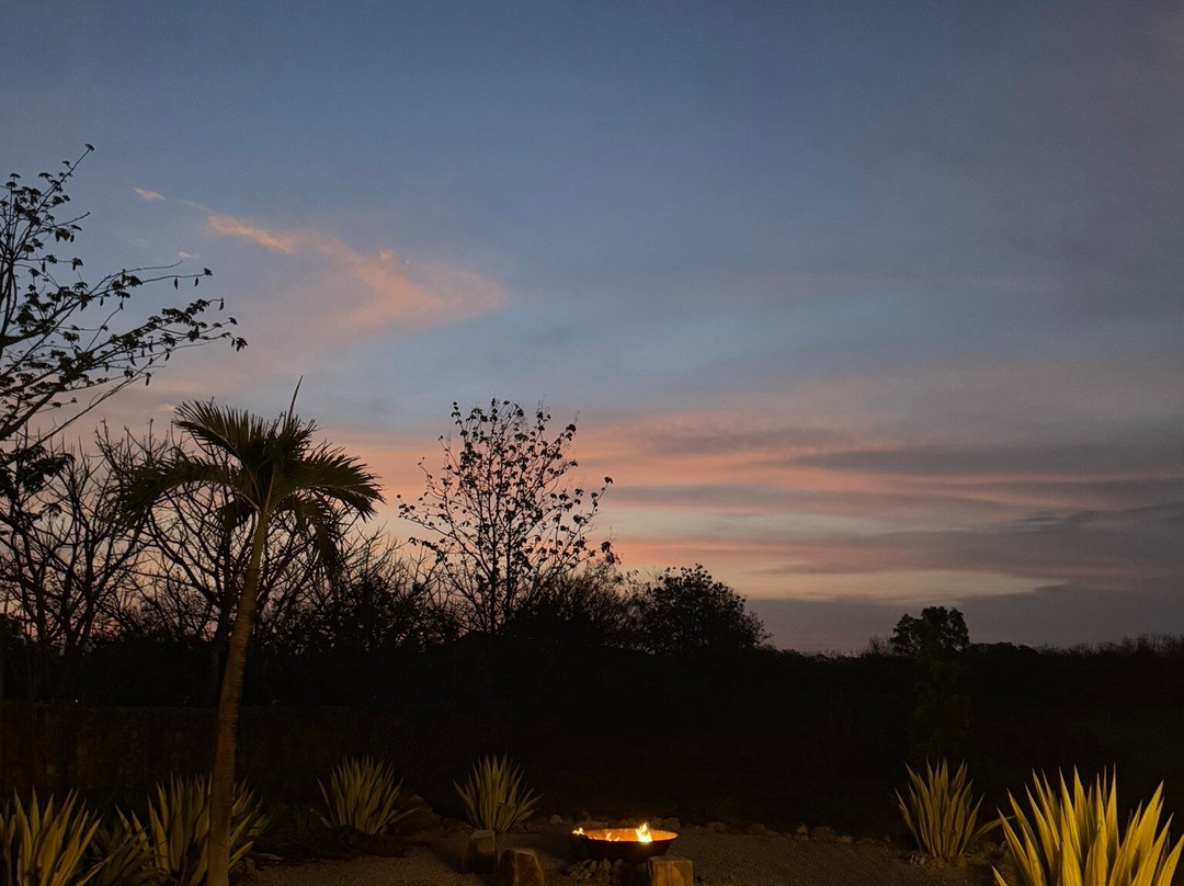 Maringi Sumba By Sumba Hospitality Foundation主图