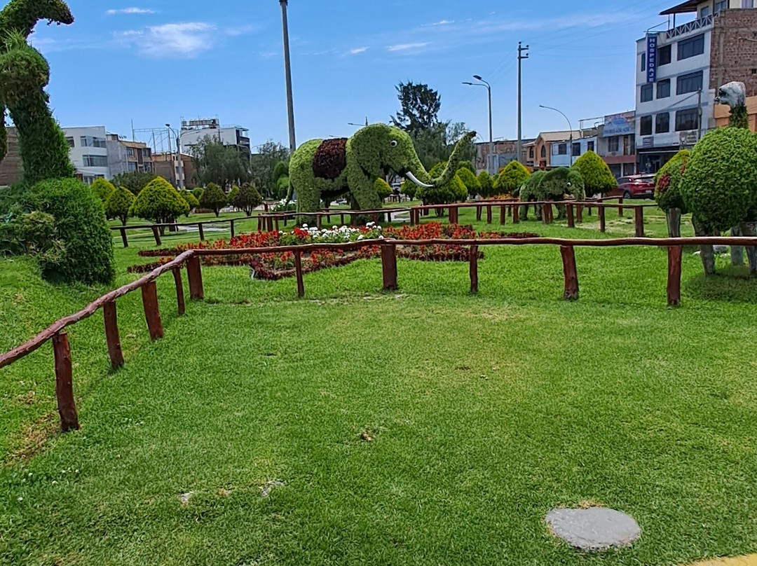 Feria 28 de Julio-塔克纳必去景点