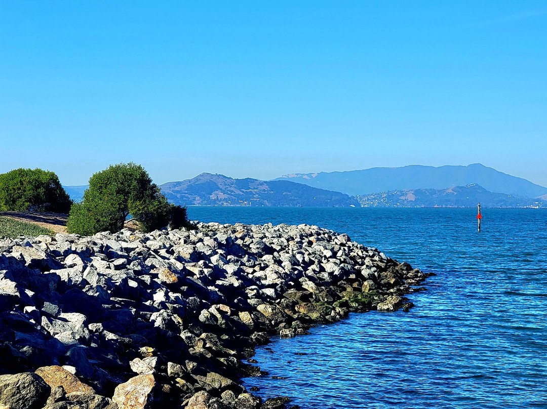 Safe Harbor Emeryville-埃默里维尔必去景点