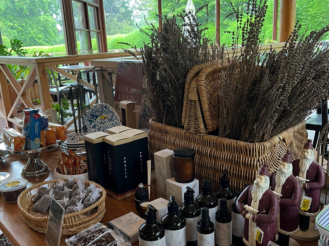 Ashcombe Maze & Lavender Garden景点图片