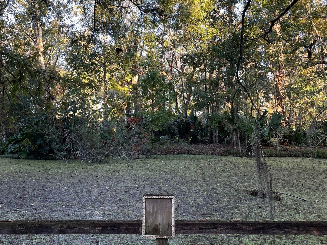 Wildlife Gardens Bed and Breakfast and Swamp Tours主图