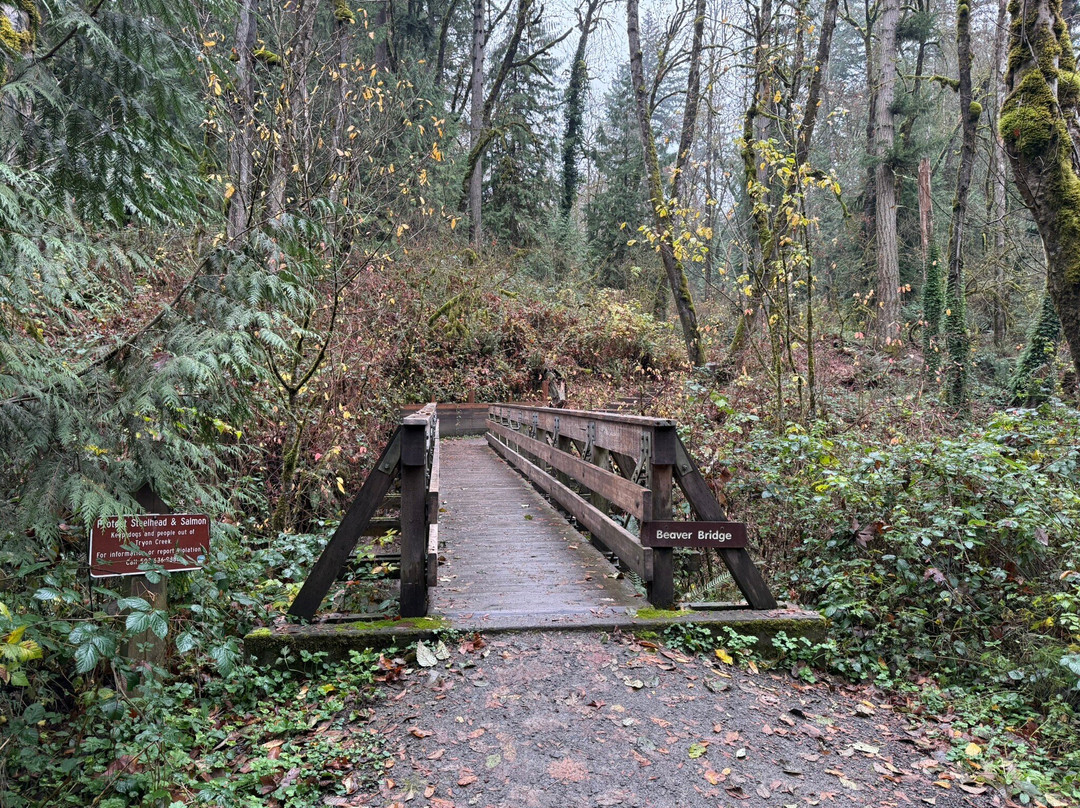 Tryon Creek State Natural Area景点图片