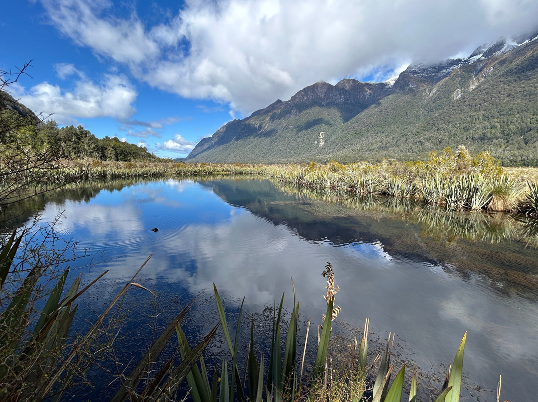 TT Tours-奥克兰中心地区必去景点