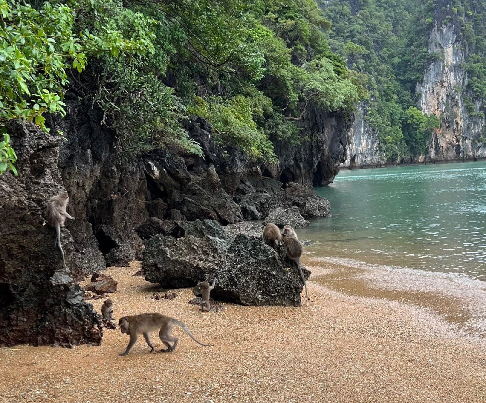 Koh Phee & Koh Talabeng - Day Trip by Talabeng Sea Kayaking景点图片
