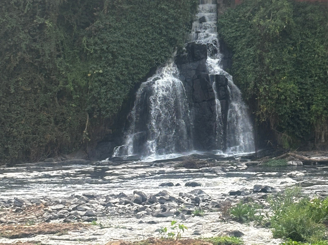 Aquario Municipal de Piracicaba-皮拉西卡巴必去景点