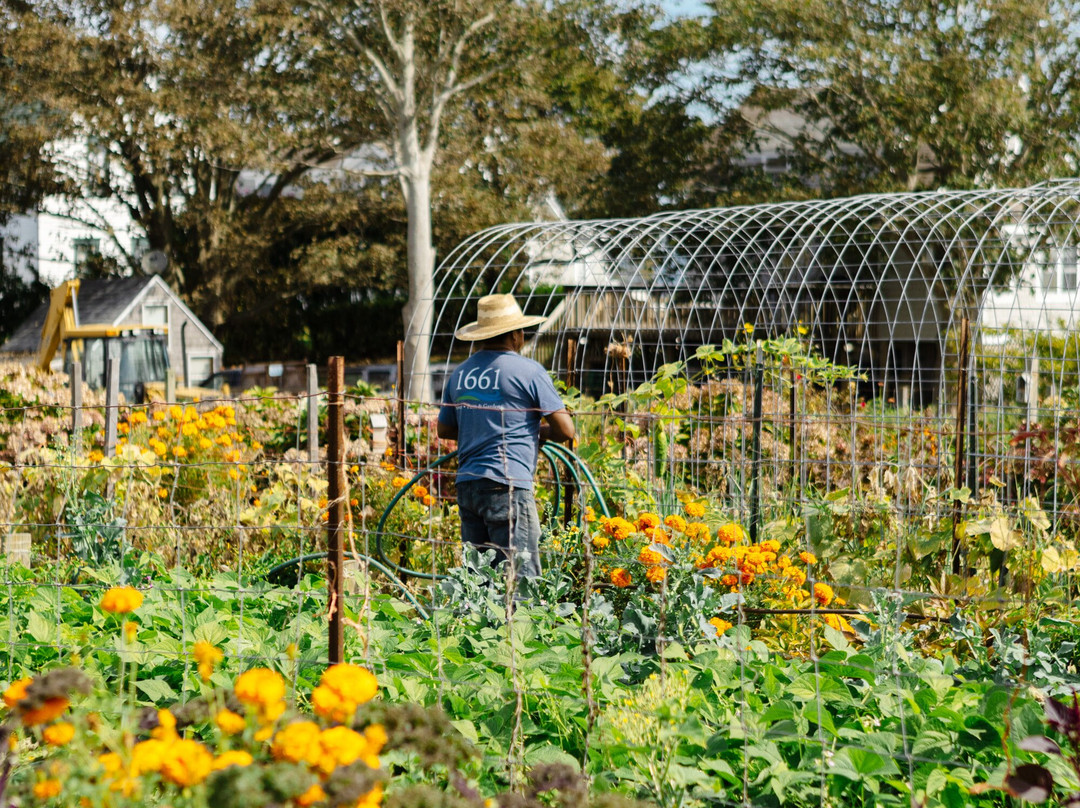 1661 Farm & Garden-新肖勒姆必去景点