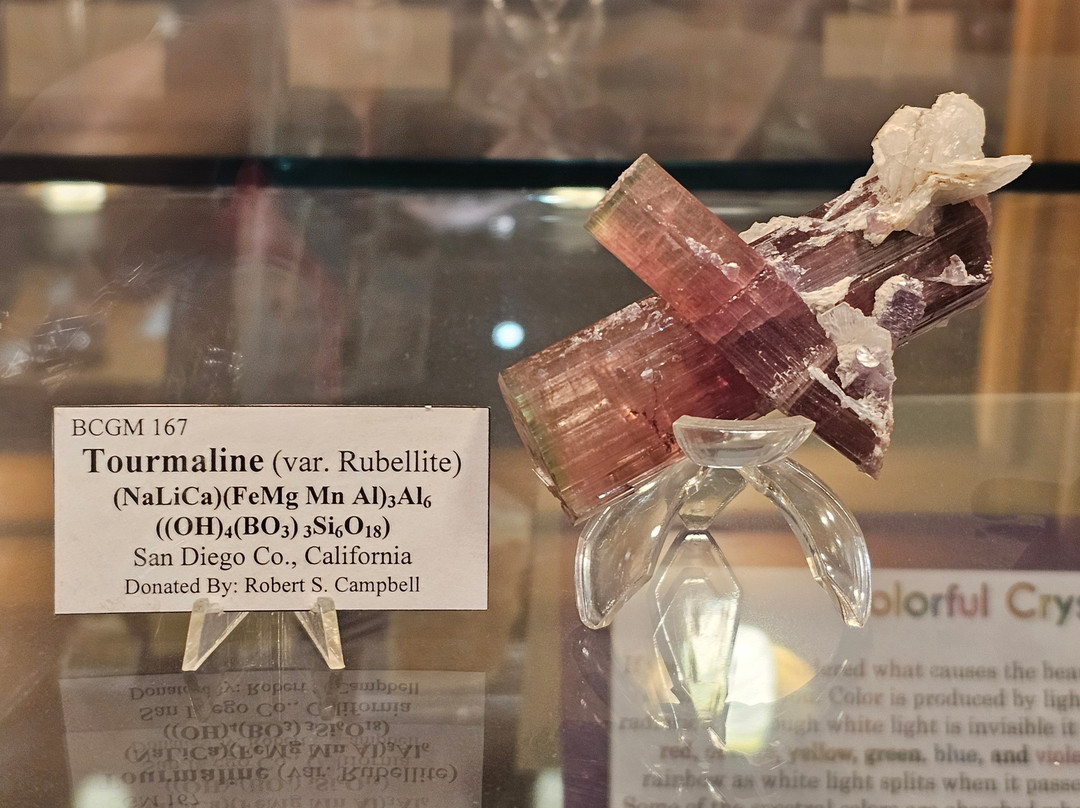 Bob Campbell Geology Museum景点图片