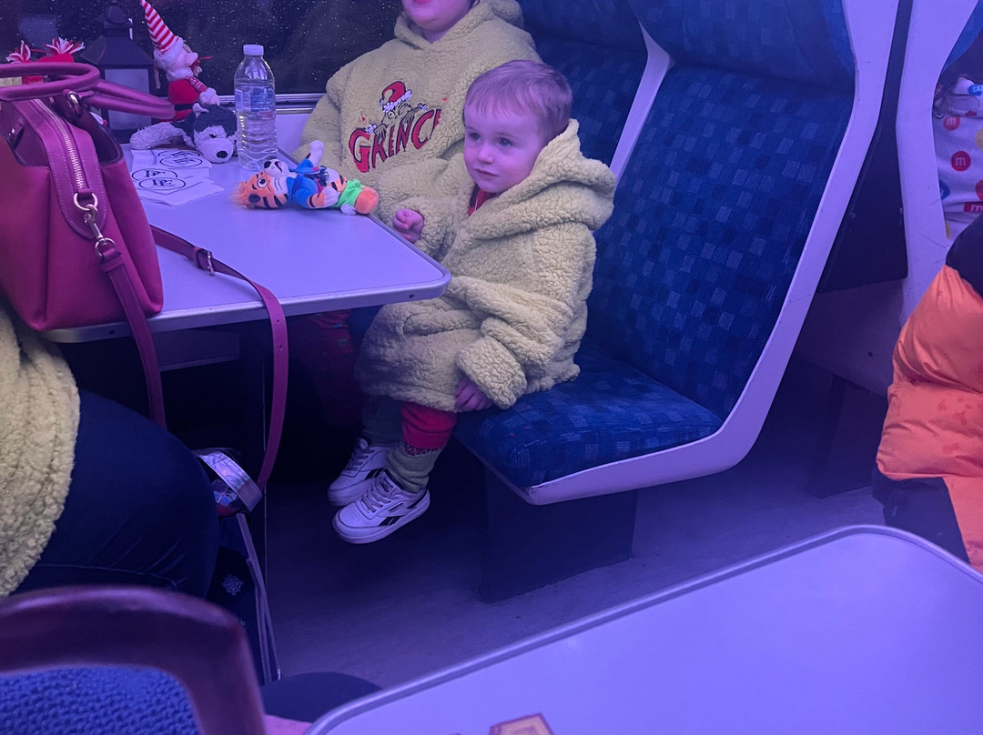 The Polar Express Train Ride at Wensleydale景点图片