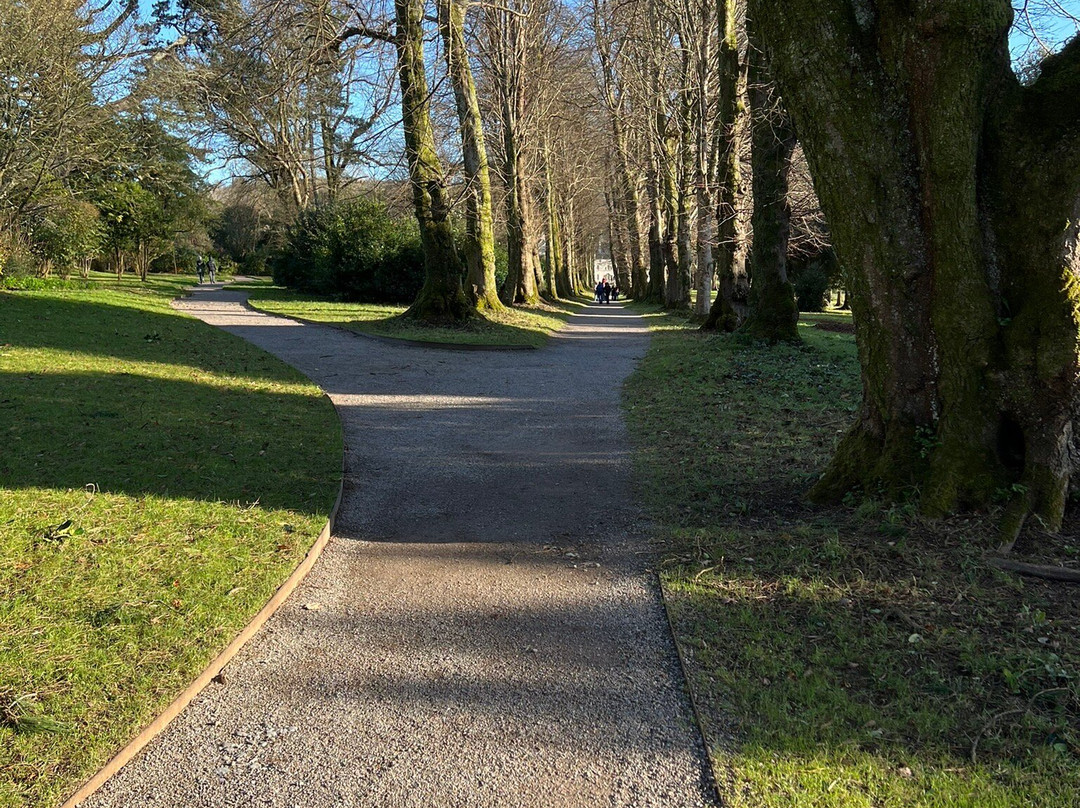 Saltram Gardens (National Trust)景点图片