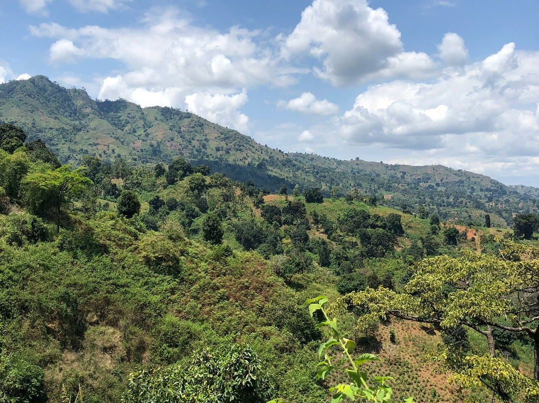 Kinole Waterfall-莫洛哥罗必去景点