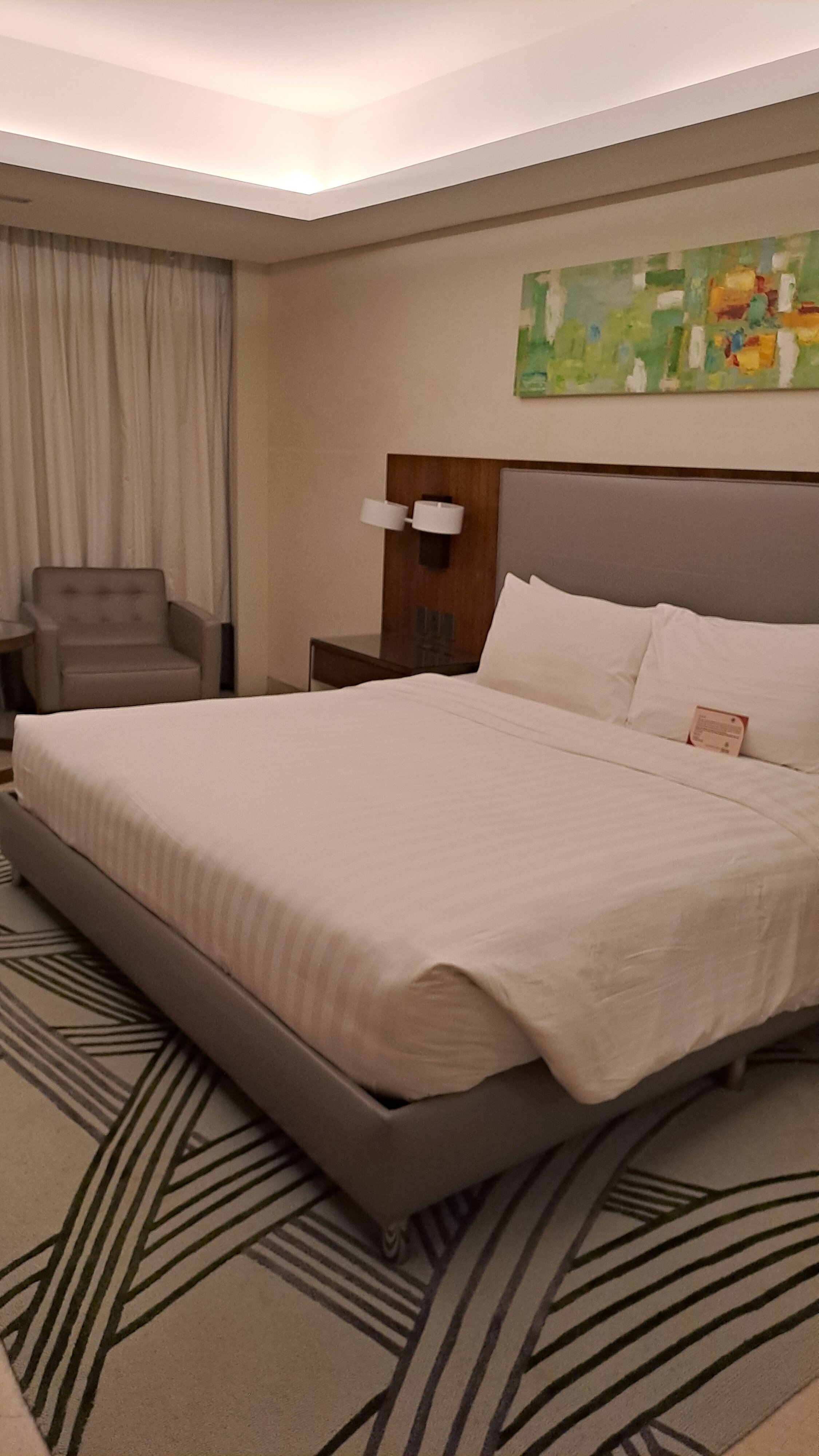 Richmonde Hotel Iloilo-客卧