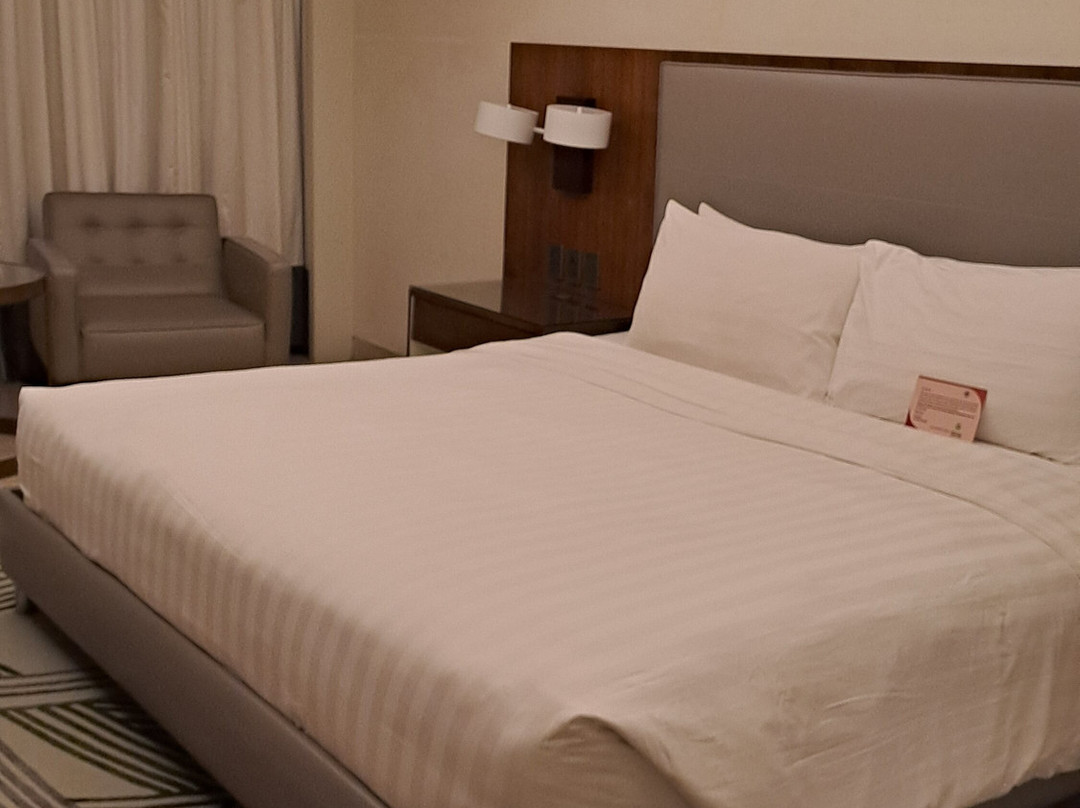 Richmonde Hotel Iloilo主图