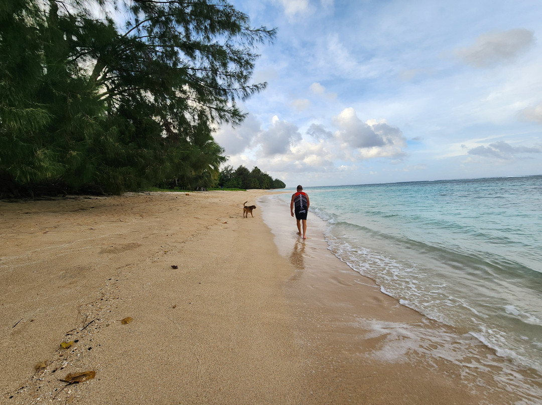 Aro'a Beachside Resort主图