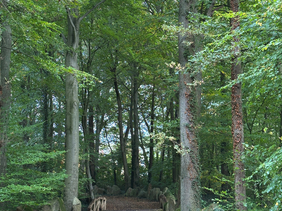 Sachsenhain-Verden (Aller)必去景点