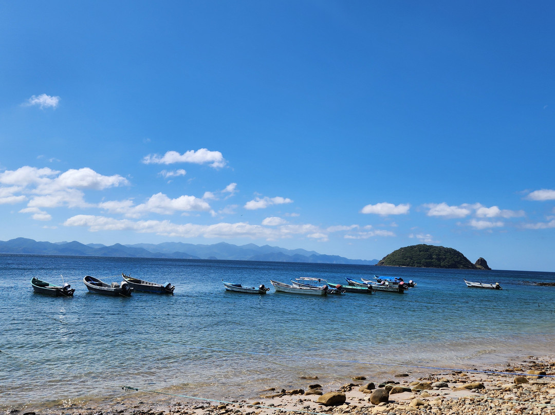 4x4 Tours CR景点图片