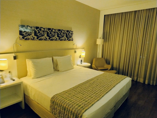 Quality Hotel São Caetano主图