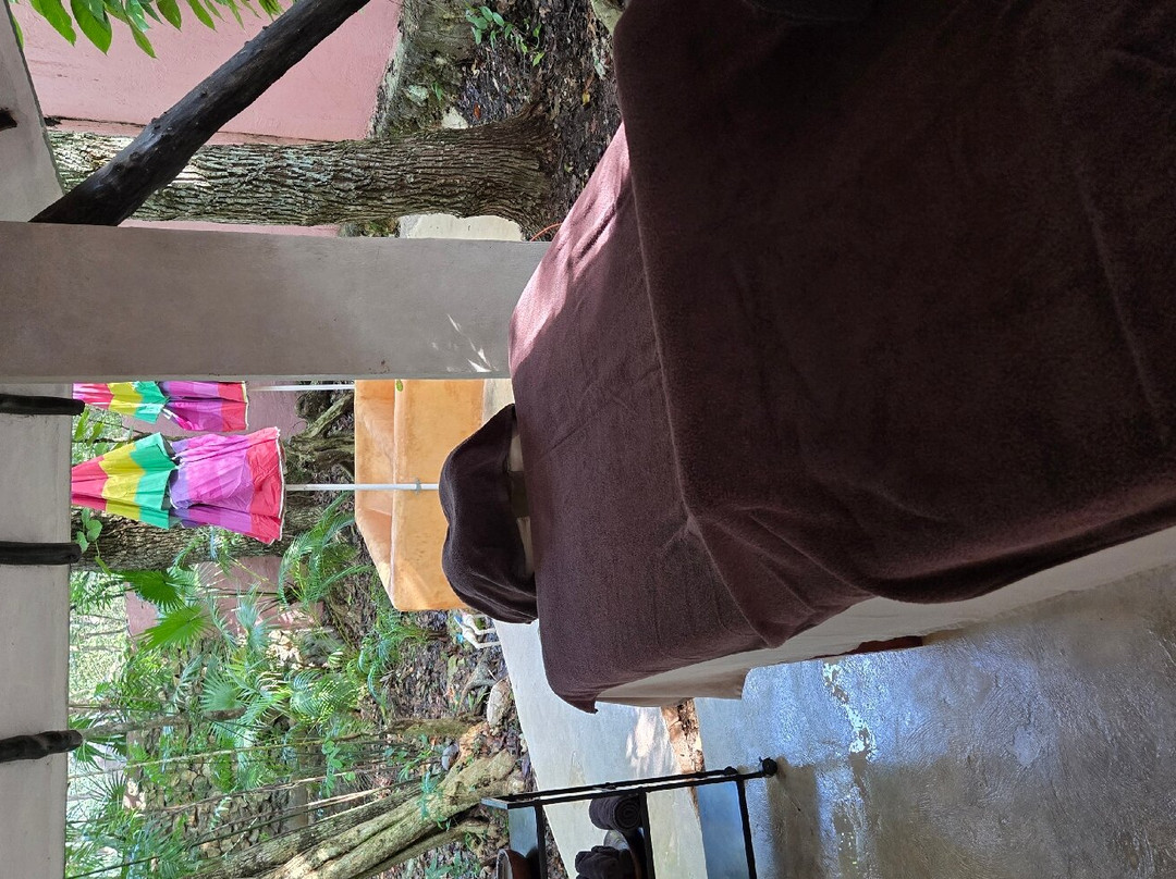 Los Colibries Mayan Jungle Spa-从莫雷洛斯港必去景点