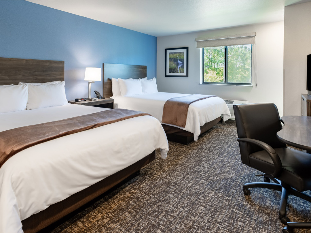 My Place Hotel-Green Bay, WI主图