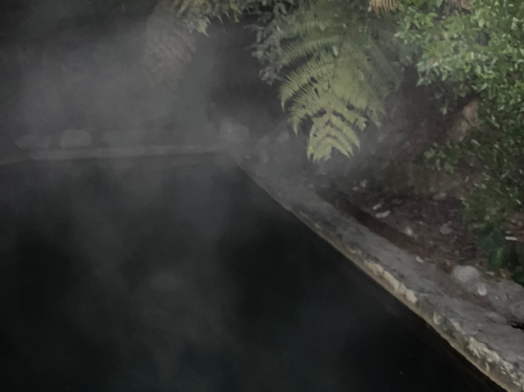 Okoroire Hot Springs Hotel主图