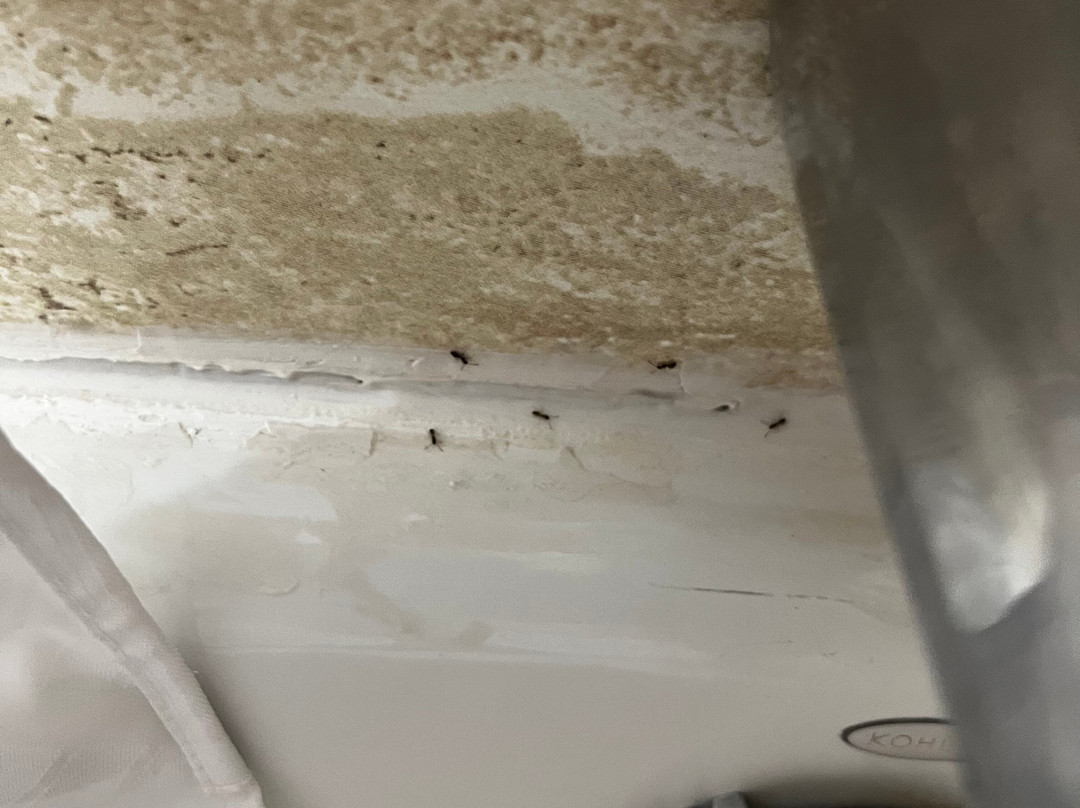 La Quinta Inn & Suites by Wyndham Allen at The Village主图