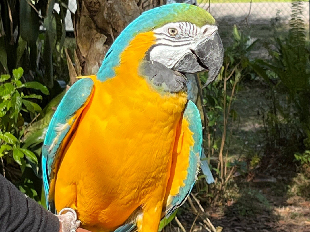 Bird Gardens of Naples-那不勒斯必去景点