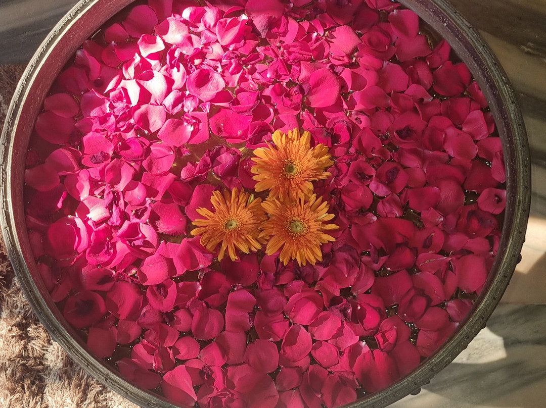 Ideal Ayurvedic Resort主图