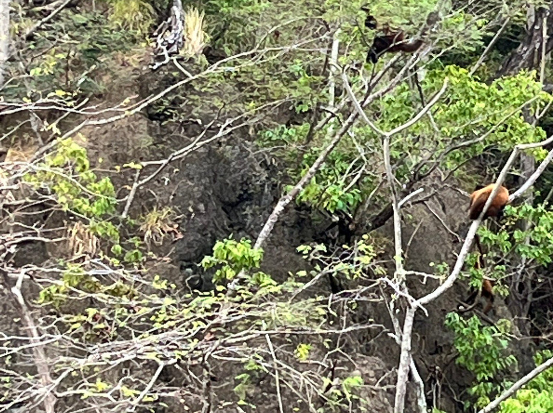 Bahia Rica Fishing and Kayak Lodge主图