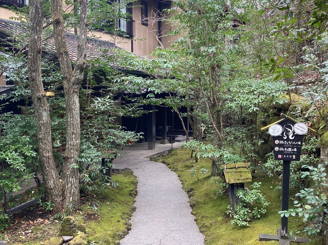 若叶日式旅馆主图