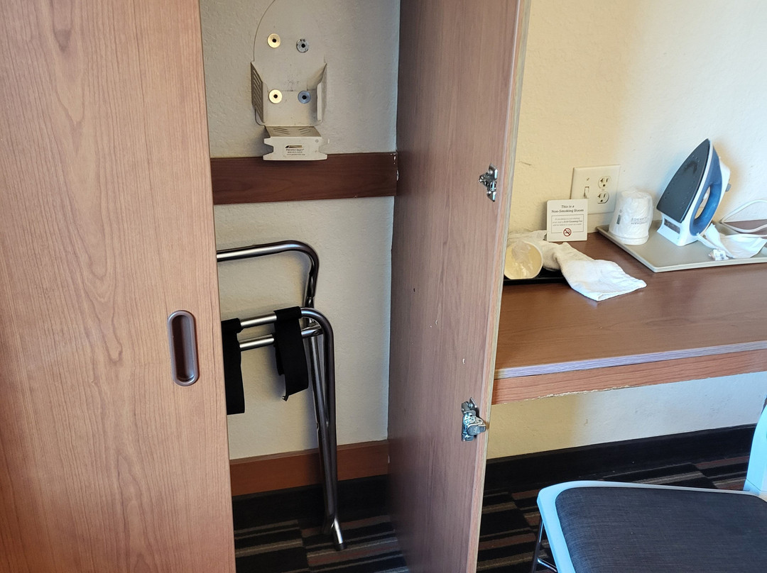 Microtel Inn & Suites By Wyndham Bushnell主图