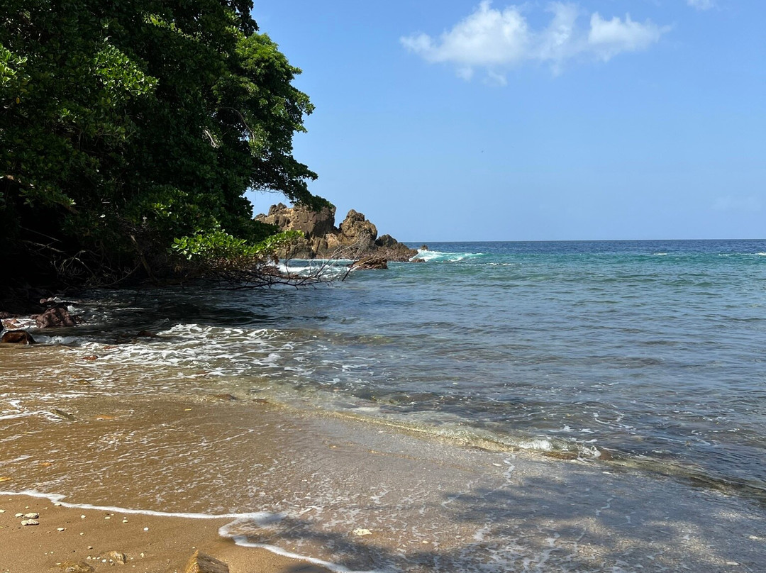 White Rock Bay Trail-Castara必去景点