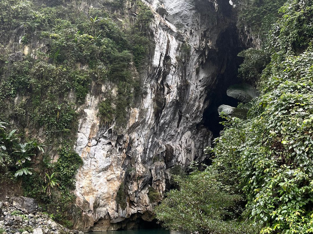 Green Land Tour景点图片