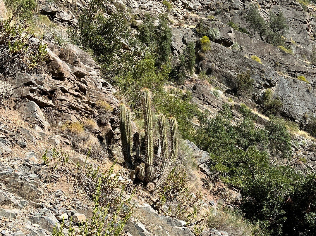 Las Melosas景点图片
