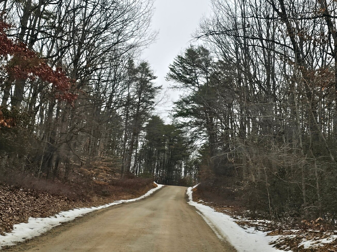Elk Neck State Forest景点图片