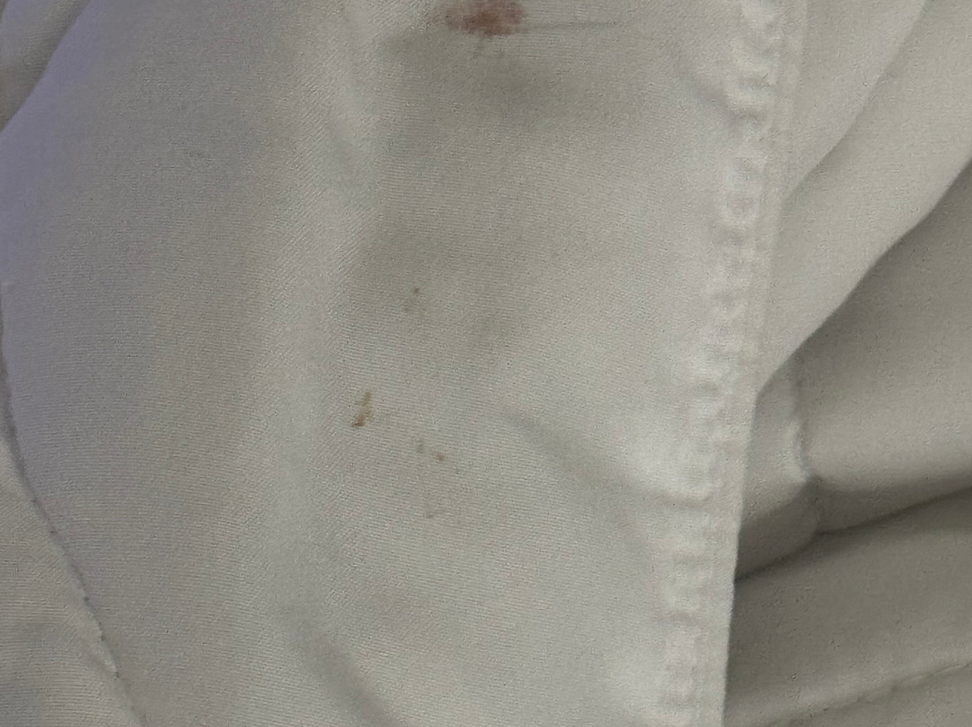 博卡拉顿希尔顿花园酒店主图